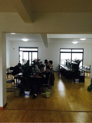 武汉金诚汇誉商务信息咨询 企业决策的智慧伙伴